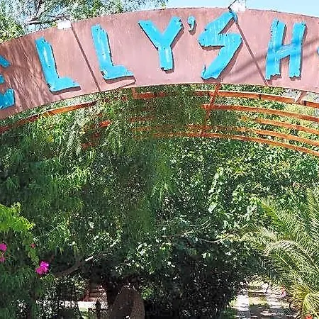 Elly's *