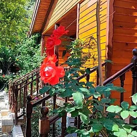 Hotel Elly's