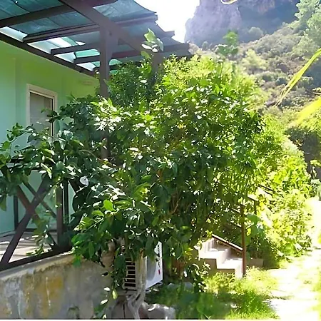 Otel Elly's 3*