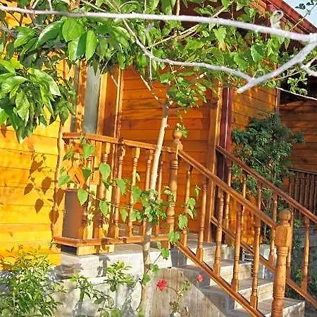 Elly's Hotel